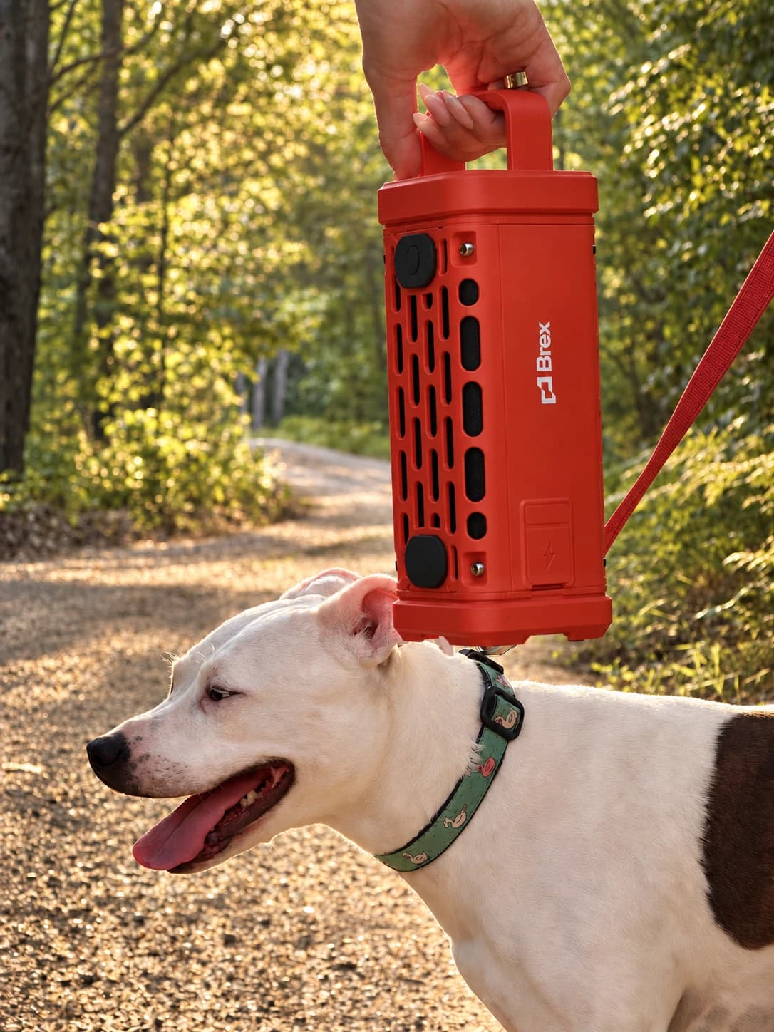 A hand holding a red Brex speaker beside a dog with a green patterned collar on a sunlit woodland trail.